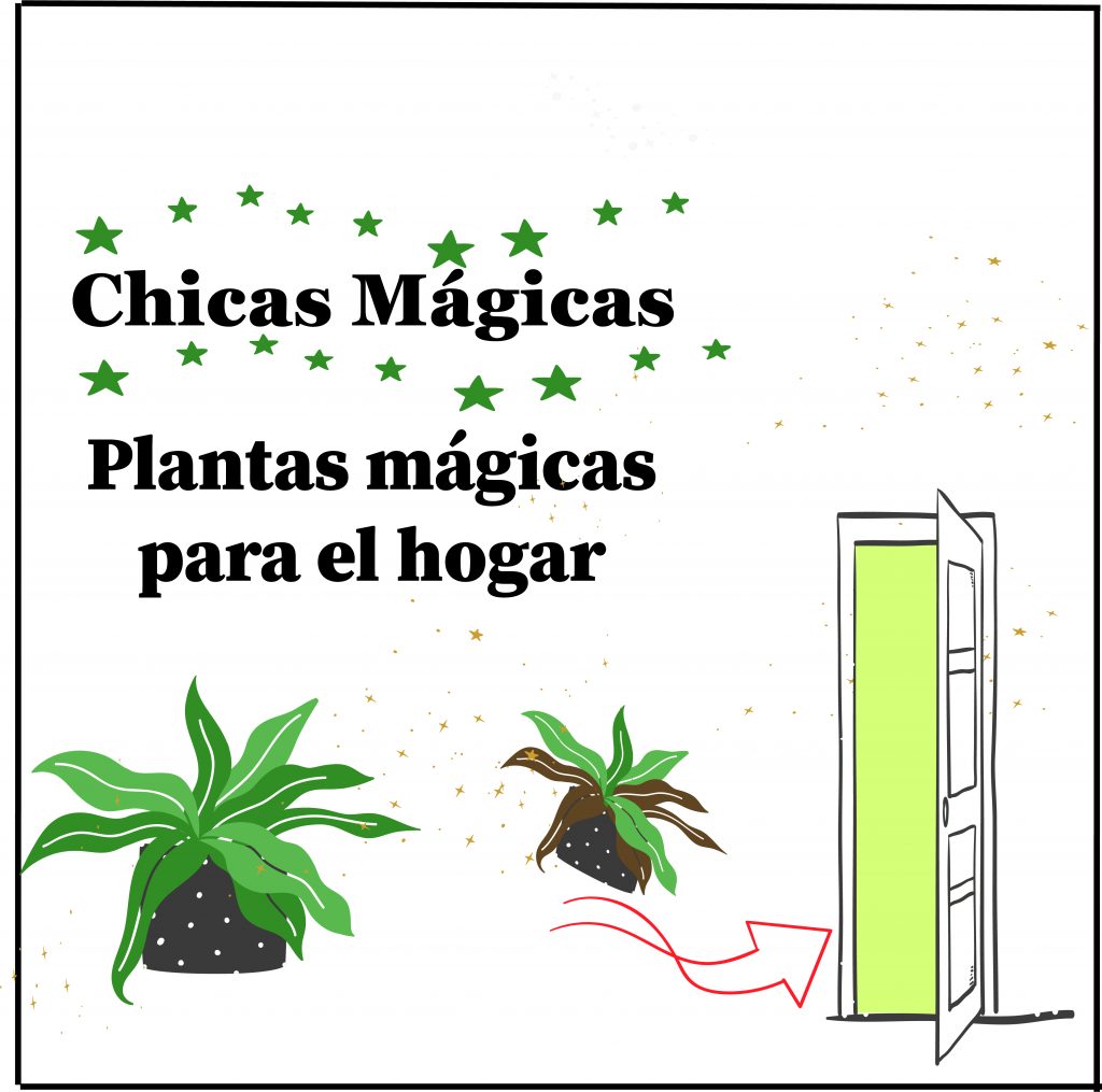 plantas magicas